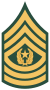 50px-US Army E-9 CSM.svg.png