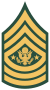 50px-US Army E-9 SMA.svg.png