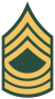50px-US Army E-8 MSG.svg.png