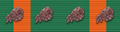 130px Recon Service Ribbon 5.png