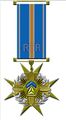 Aircraft medal 1.jpg