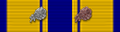 Support Service Ribbon 6.png