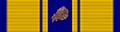 Support Service Ribbon 1.png