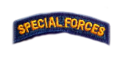 Specialforcesribbon1.png