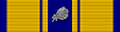 Support Service Ribbon 5.png