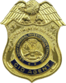 USA - Army CID Badge.png